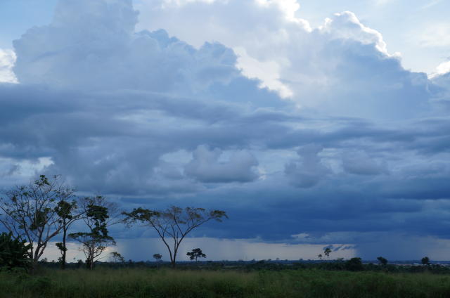 Imagem de ClimAPI