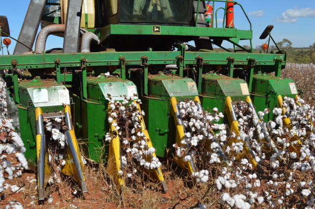 Imagem de Recomendações de boas práticas agrícolas para a destruição de restos culturais do algodoeiro